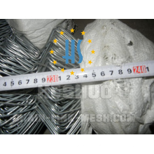 Low Price 6 Foot Galvanizsed Chain Link Fence Mesh